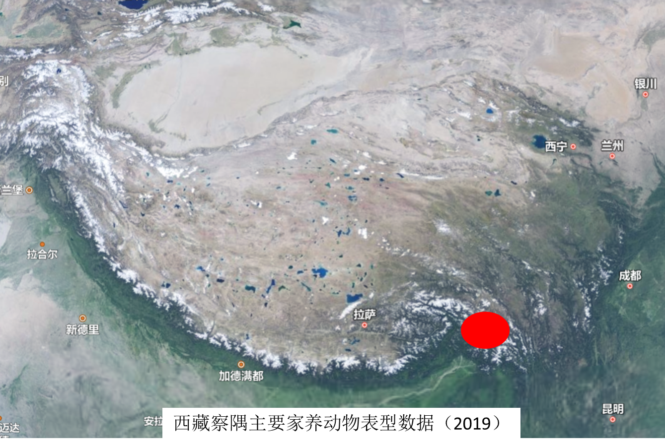 Phenotypic data of main domestic animals - Chayu, Tibet (2019)