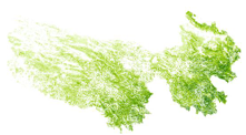 Dataset of above ground biomass in Sanjiangyuan region (2000, 2010, 2015 )