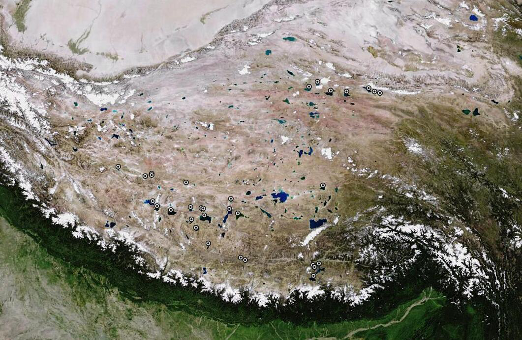 青藏高原部分湖泊湖水离子组成数据 （2020）