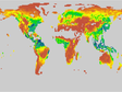 Global vegetation productivity monthly data obtained by CNRM-CM6-1 mode of CMIP6 (1850-2014)