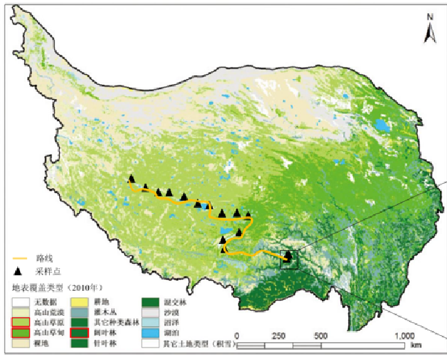 代表性点植物和土壤碳氮循环调查数据集（2019-2020）