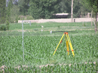 黑河综合遥感联合试验：盈科绿洲与花寨子荒漠加密观测区机载WiDAS地面同步观测数据集（2008年5月30日）