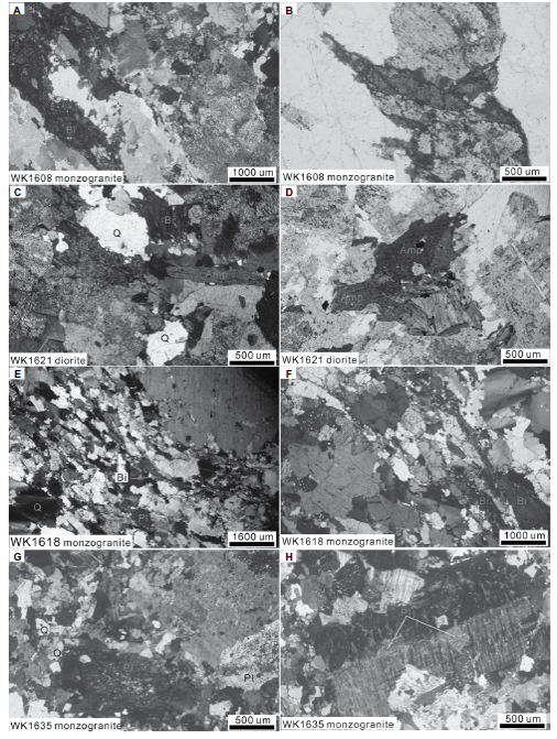 Whole-rock geochemical and Sr-Nd isotopic data of Cambrian granitoids in the West Kunlun