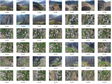 UAV-derived raster data of the Tibetan Plateau during 2018-2019