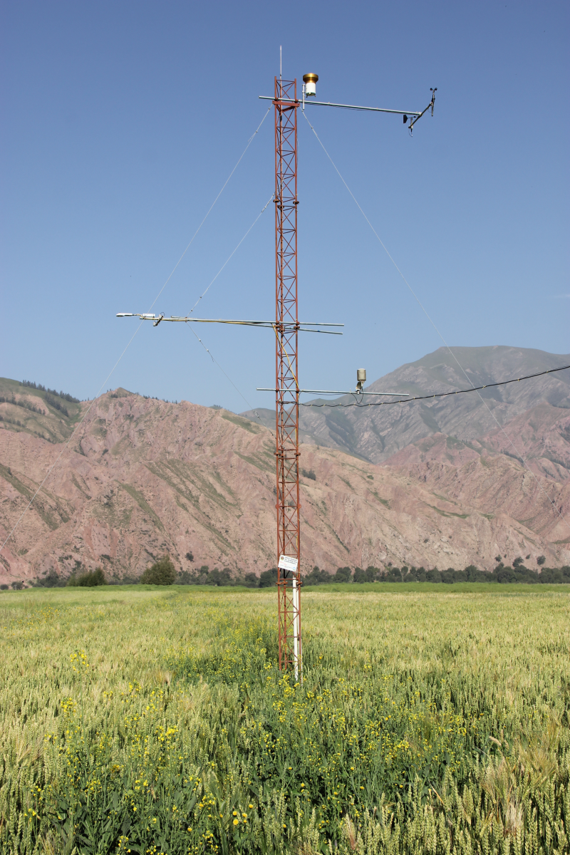 HiWATER: Dataset of hydrometeorological observation network (automatic weather station of Huangzangsi station, 2014)