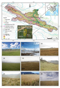 Integrated hydrometeorological – snow – frozen ground observations in the alpine region of the Heihe River Basin, China