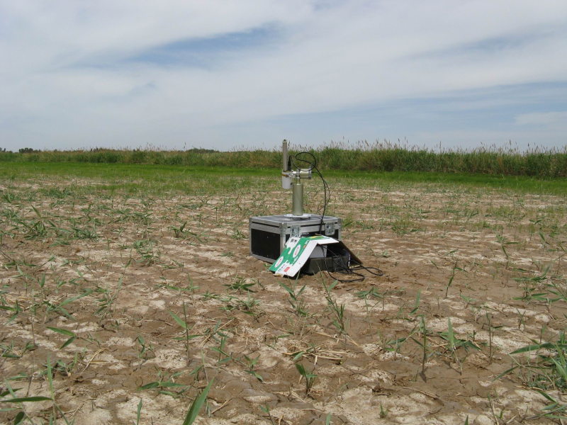 WATER: Dataset of sun photometer observations in the Linze grassland foci experimental area (2008)