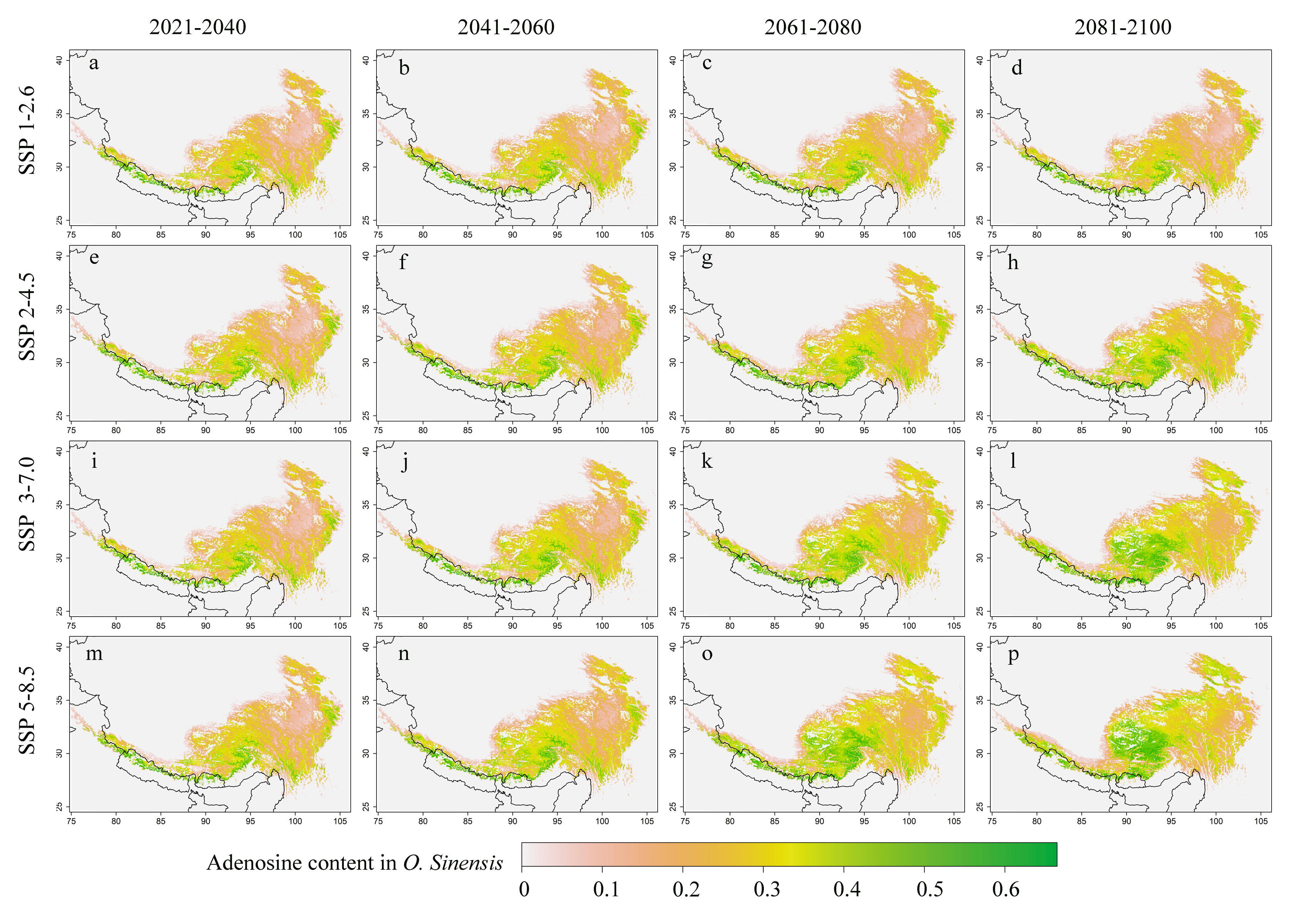 The potential distribution area change of Ophiocordyceps sinensisunder different future climate change scenarios and the spatial distribution pattern change data set of high quality Cordyceps sinensis