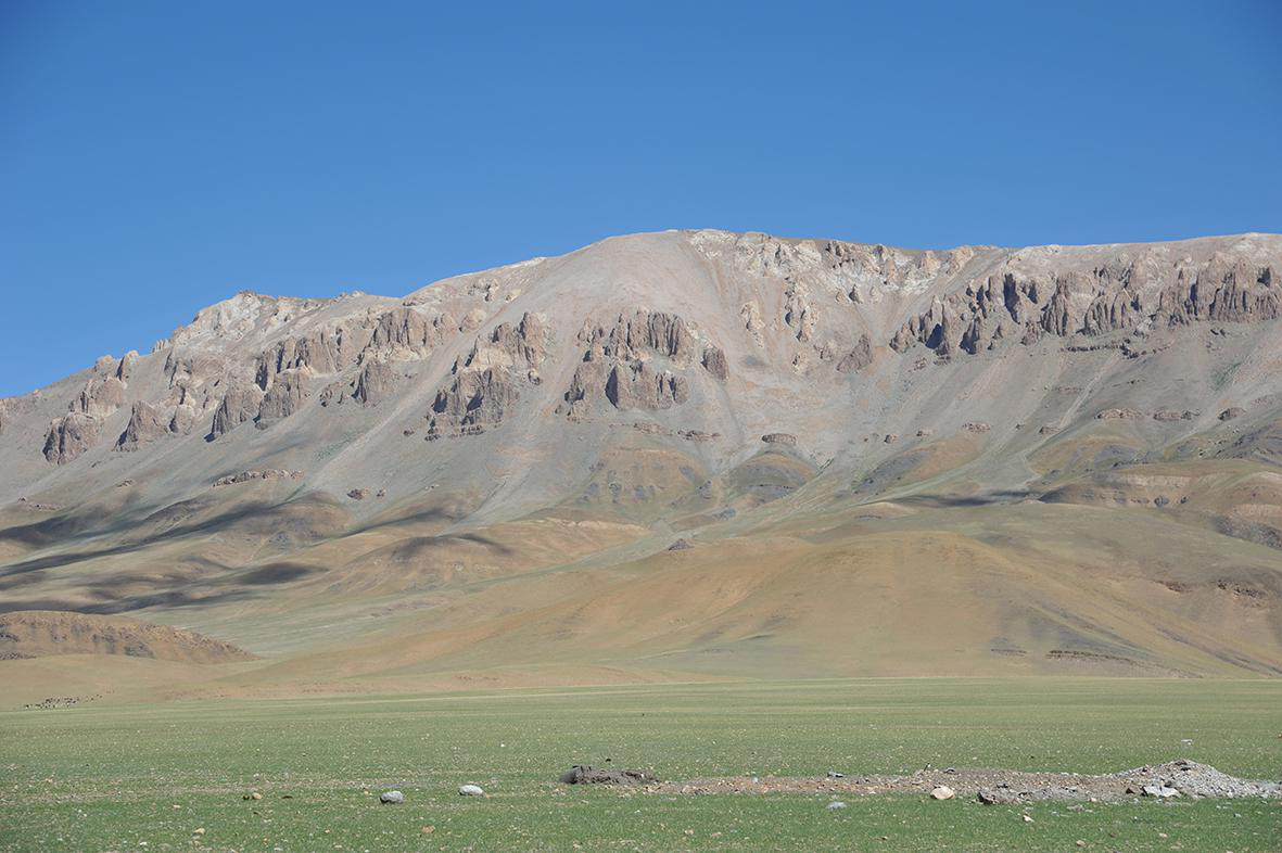 西藏夏东剖面中二叠统下拉组地层柱状图（含䗴类及小有孔虫生物地层划分）