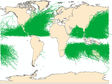 Global Tropical cyclone (TC) track dataset (1842-2019)