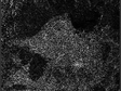 黑河生态水文遥感试验：COSMO-SkyMed遥感数据集（2012）