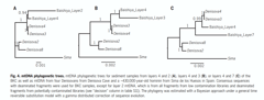 Sedimentary ancient DNA data  from baishiya Karst Cave