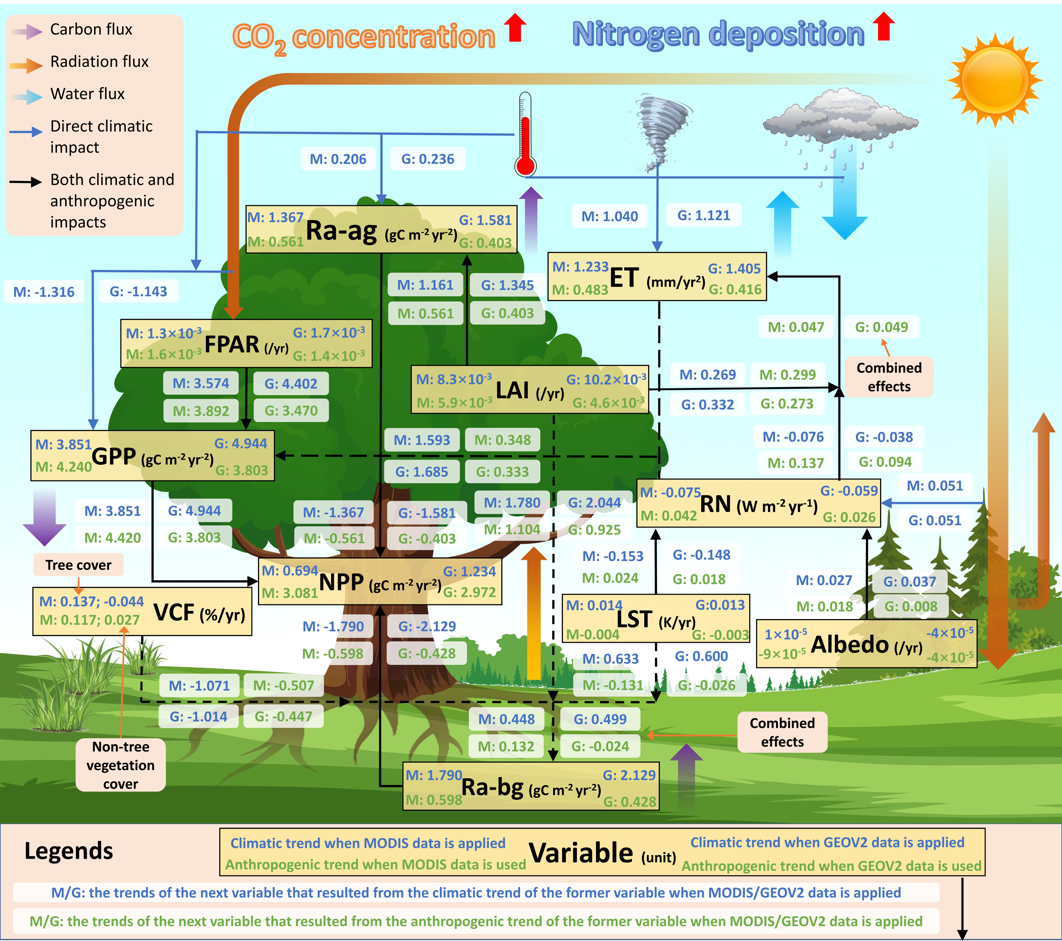 The contributions of climate change and human activities on vegetation carbon sequestration in China during 2001~2018