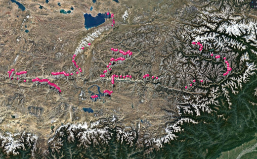 Occurence records of birds of the fieldwork in winter Tibet, 2020