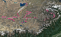 Occurence records of birds of the fieldwork in winter Tibet, 2020