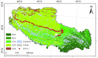 青藏高原植被调查数据（2019）
