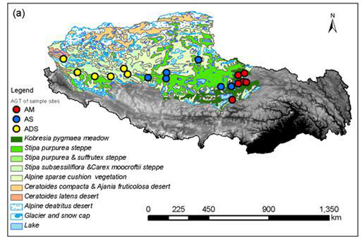 The vegetation biomass data of the North Tibet transect（2017）