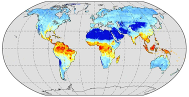 Global vegetation productivity data simulated by BCC-ESM1 during 1850-2014