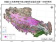 The zonation dataset of native forage planting suitability in Tibet (2021)