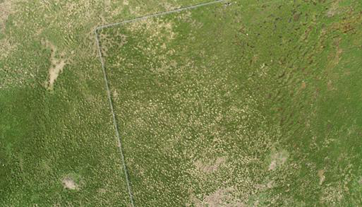 Drone photoes of Qumalai wetland plot (2018)