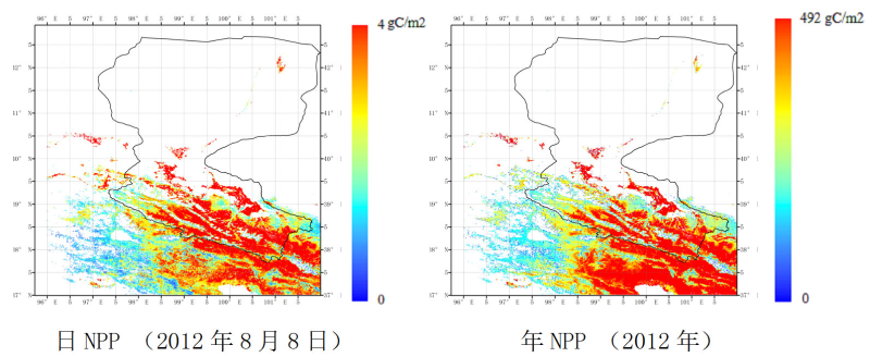 HiWATER: Net Primary Productivity product of the Heihe River Basin
