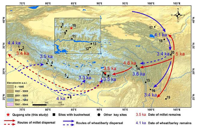 Archaeological site investigation and plant and animal resource utilization in the Northeast Tibet Plateau (Neolithic and Bronze Age)