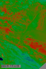 黑河流域1km分辨率地表反照率数据集（2001-2012）