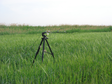 WATER: Dataset of ground truth measurement synchronizing with MODIS in the Linze grassland foci experimental area on Jun. 10, 2008