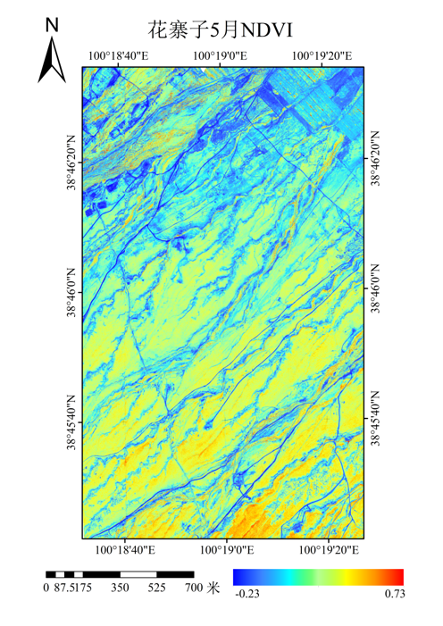 黑河中游典型站点无人机遥感NDVI数据（2019,V1）