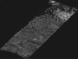 黑河生态水文遥感试验：黑河流域中游核心试验区植被高度产品（2012年7月19日）
