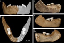 A late Middle Pleistocene Denisovan mandible from the Tibetan Plateau