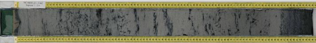 青藏高原南部羊卓雍错湖芯孢粉图谱与温度/降水重建序列数据库（0-20kaBP）