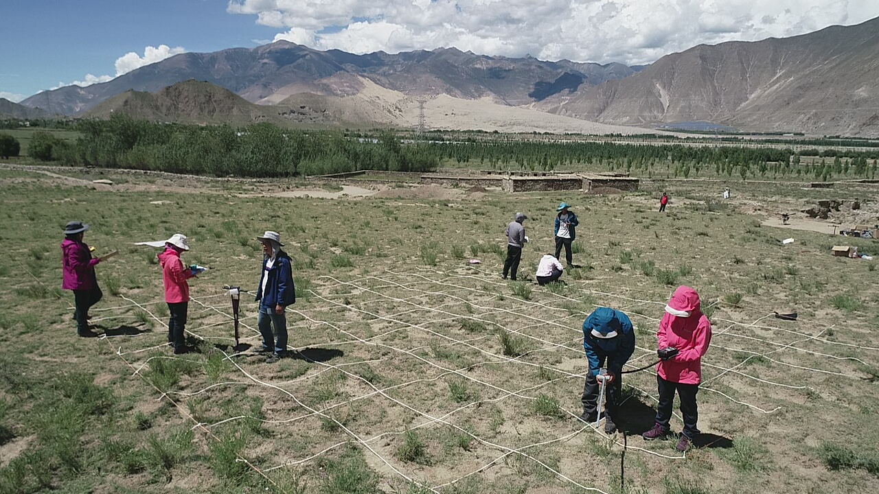 Vegetation environmental research data set in key areas of Asian water tower area of Qinghai Tibet Plateau (2019-2020)