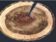 Tree ring width and reconstructed precipitation soil water condition data series of the Northeastern Tibetan Plateau and dating data of the Delingha Area (1580B.C.-2006A.D.)