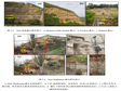 Environmental Magnetism (ARM and SIRM) data of the Titel-Stari Slankamen loess section in Serbia