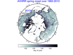 The global AVHRR remote sensing vegetation phenology at peturning green stage in spring (1981-2003)