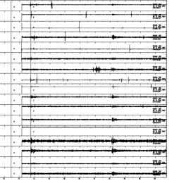 Near seismic waveform of nangabawa short period dense seismic array (2020.06-2020.07)
