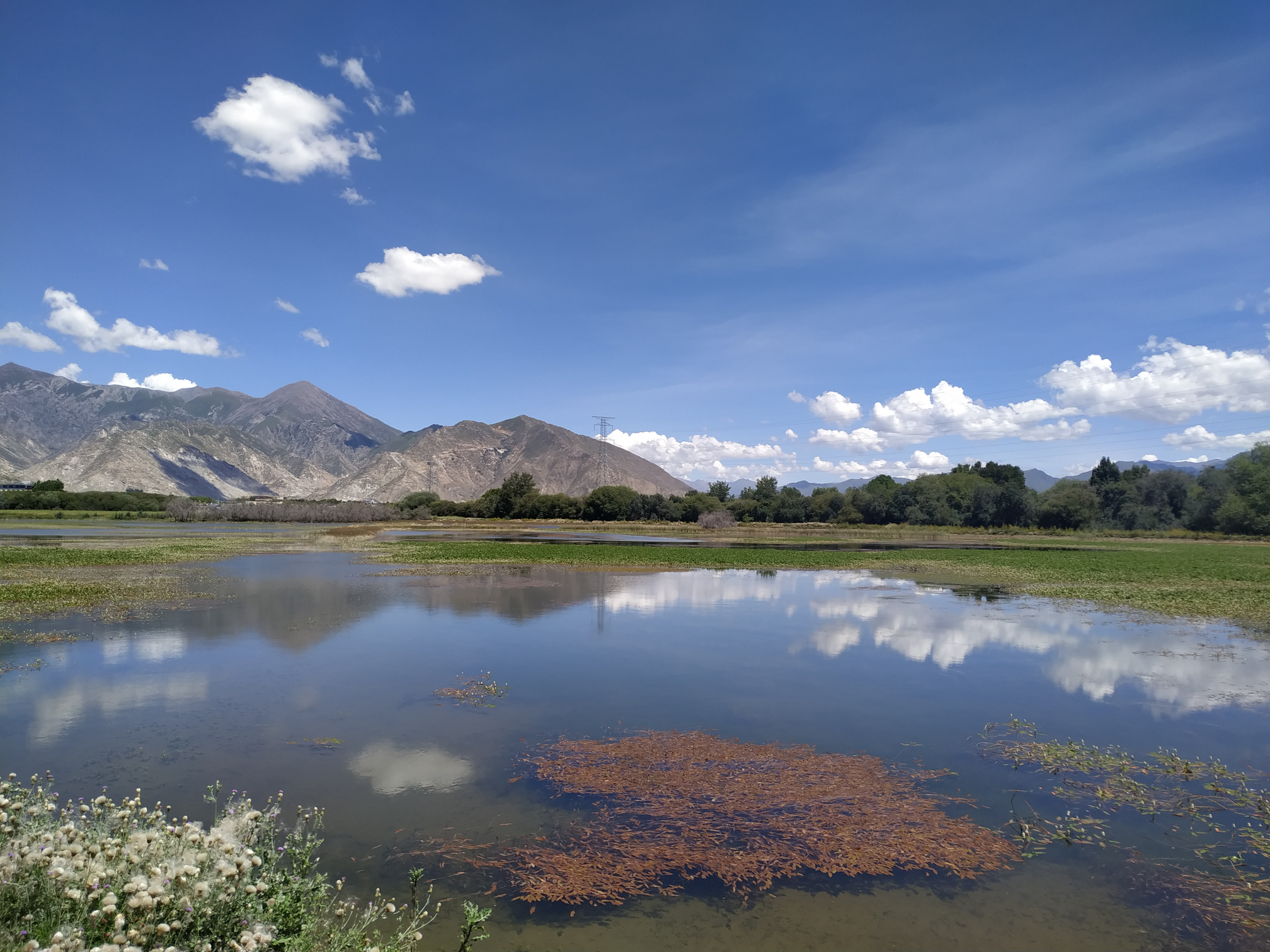 拉鲁湿地水质监测数据集（2019）