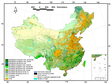 中国植物功能型图（1 km）