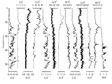 Geochemical Data Set of Lacustrine Core in Luanhaizi Lake (0-859 cm)