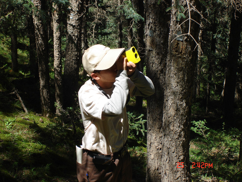 黑河综合遥感联合试验：排露沟流域和大野口流域加密观测区固定样地测树调查数据集（2007）