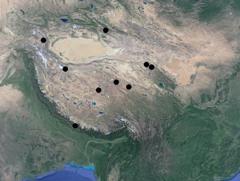 Bacteria strain resource database of the Tibetan Plateau (version 1.0) (2010-2018)