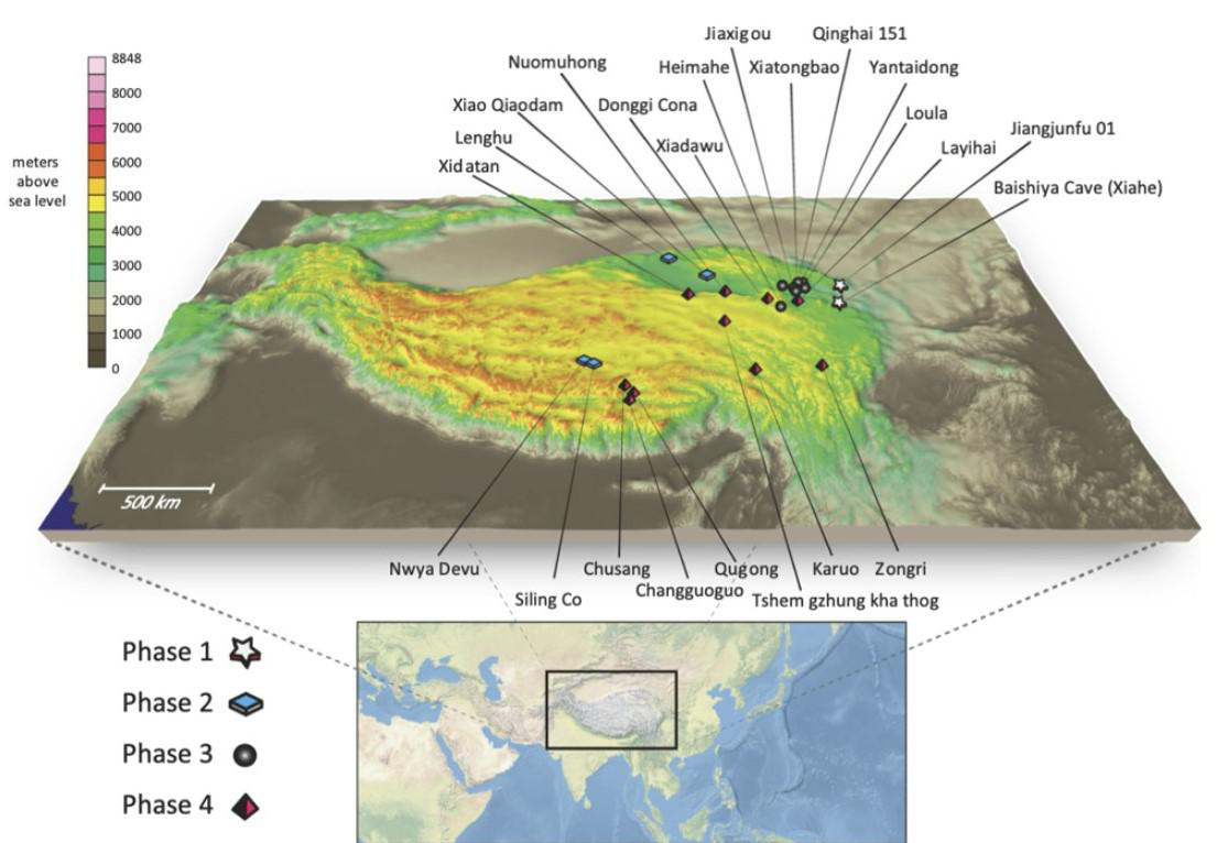 Archaeological site investigation and plant and animal resource utilization in the Tibet Plateau during the Paleolithic-Epipaleolithic  (2021)