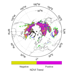 环北极不同类型多年冻土区NDVI变化数据集（1982-2015）