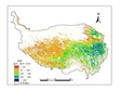 Monthly net primary productivity (NPP) dataset of the Qinghai Tibet Plateau (2012-2015)