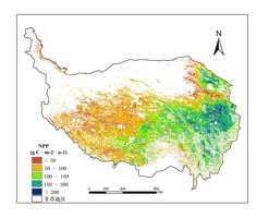 Monthly net primary productivity (NPP) dataset of the Qinghai Tibet Plateau (2012-2015)