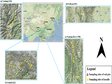 青藏高原东部及南部常见树种树叶总汞数据集（2008）