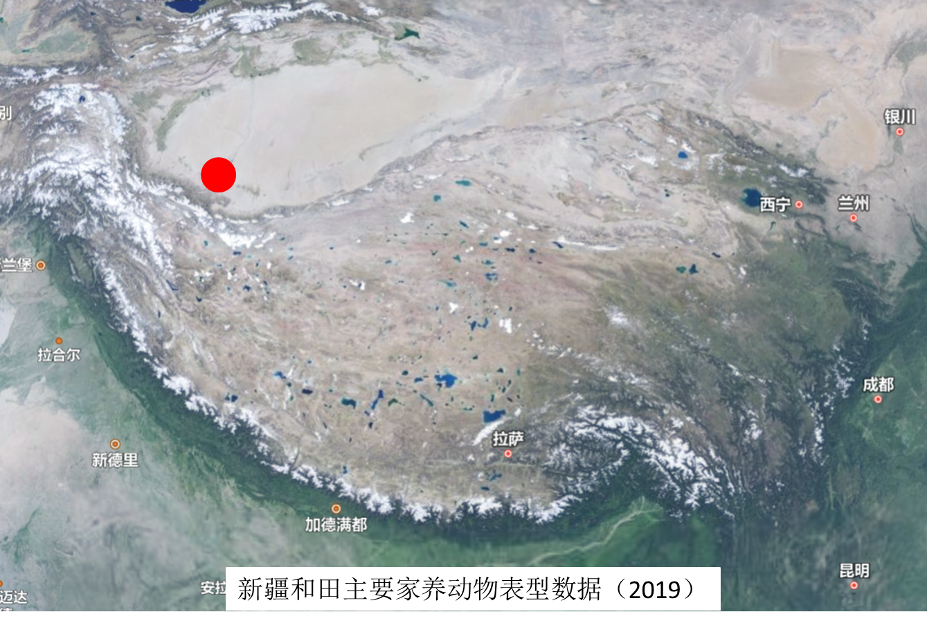 Phenotypic data of main domestic animals in Xinjiang and surrounding areas - Hetian, Xinjiang (2019)