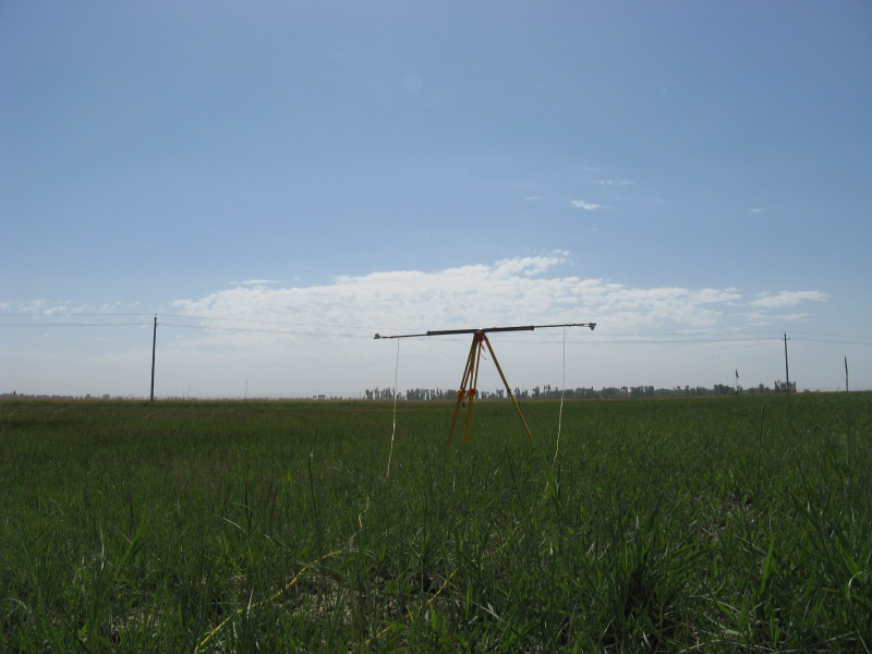 黑河综合遥感联合试验：临泽草地加密观测区地表反照率观测数据集（2008年5月-7月）