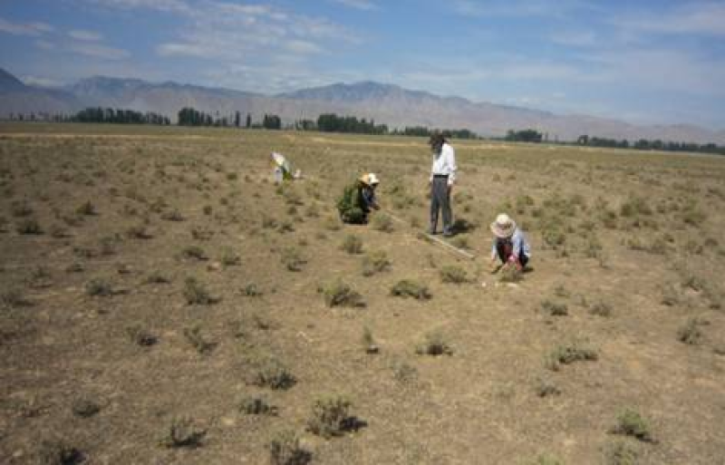 The annual ecological investigation data of desert vegetation with different desert types in Heihe river basin in 2013